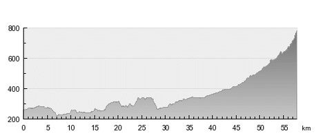 graciaorlova_stage3_profil