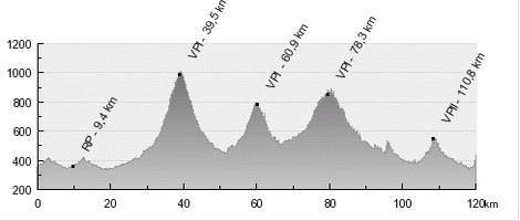 graciaorlova_stage4_profil