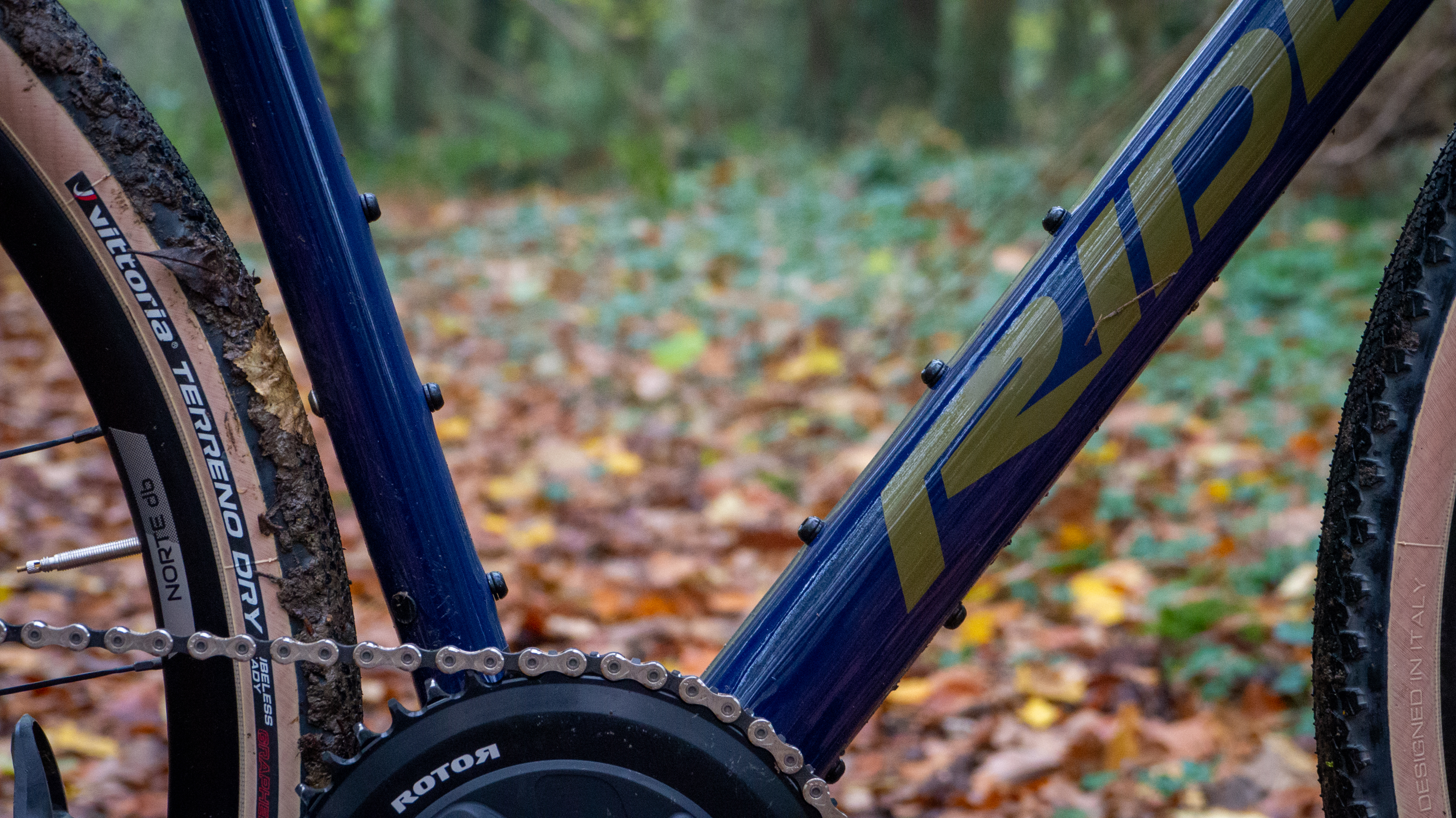 Ridley Grifn se dresse dans un bois feuillu