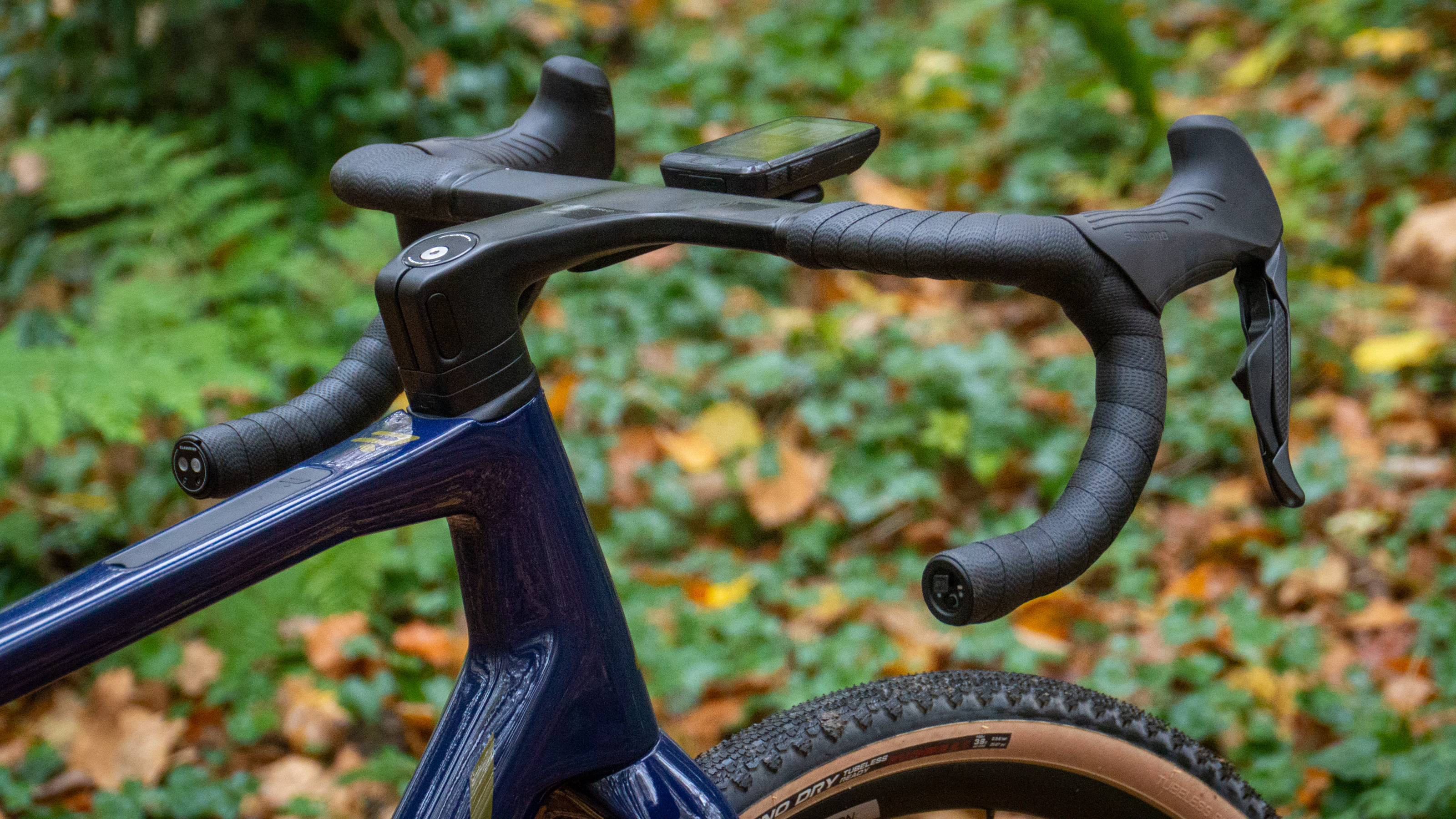 Ridley Grifn se dresse dans un bois feuillu
