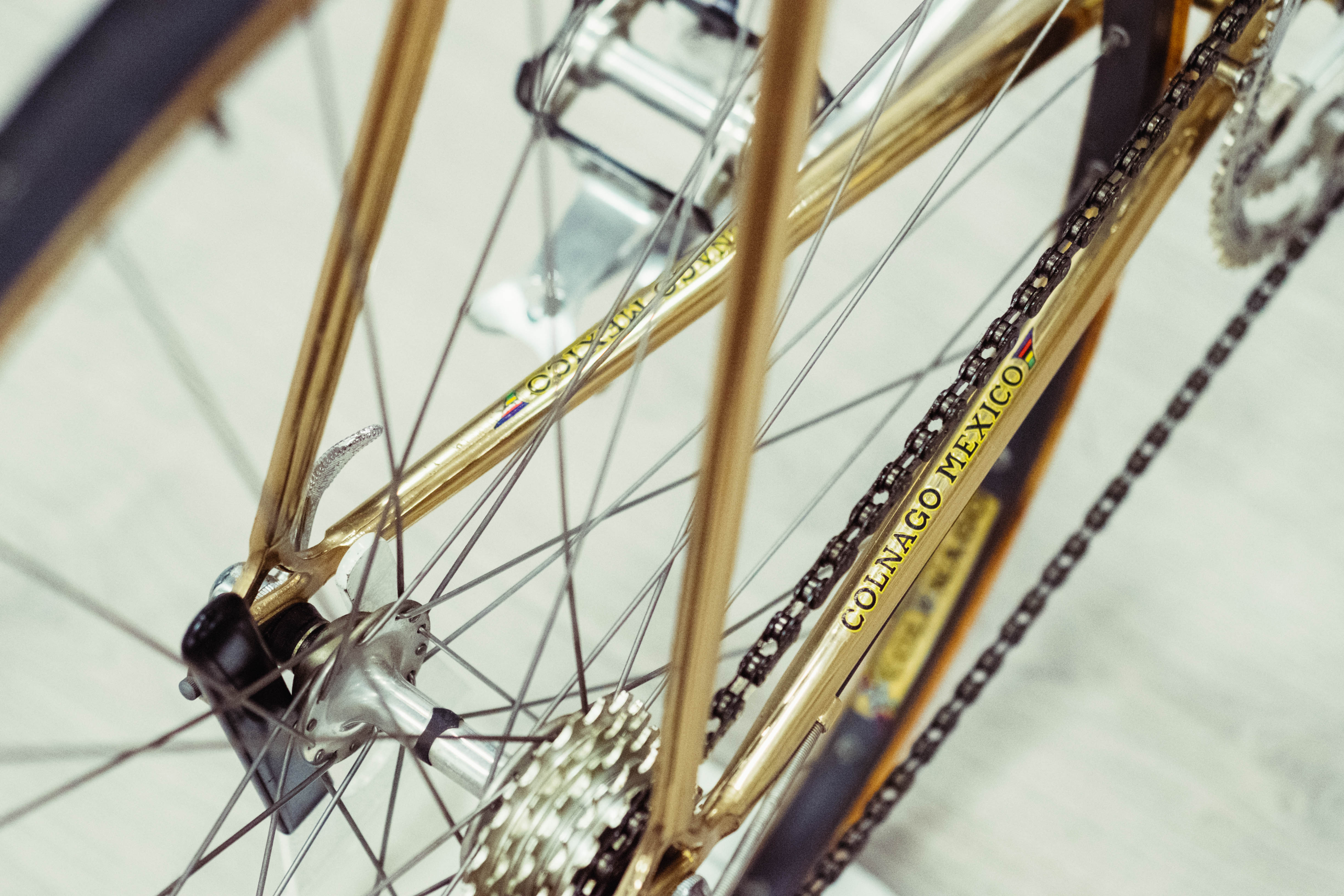 Vélos du musée de Colnago