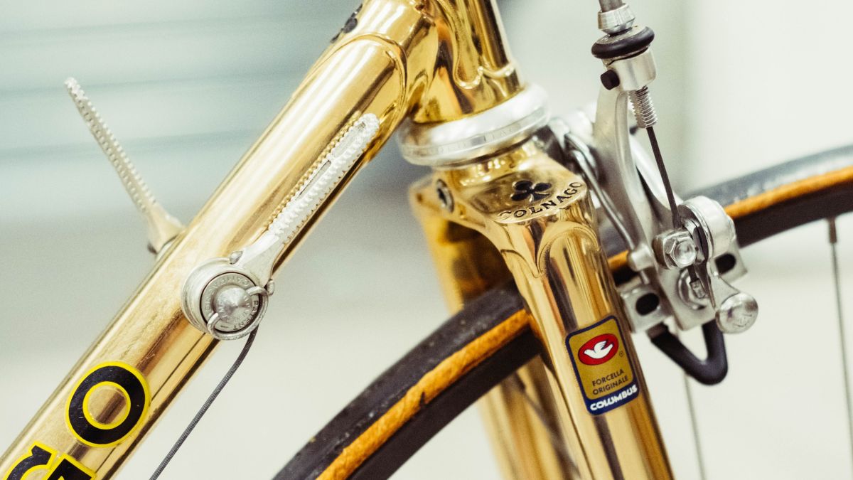 Colnago Museum Bikes