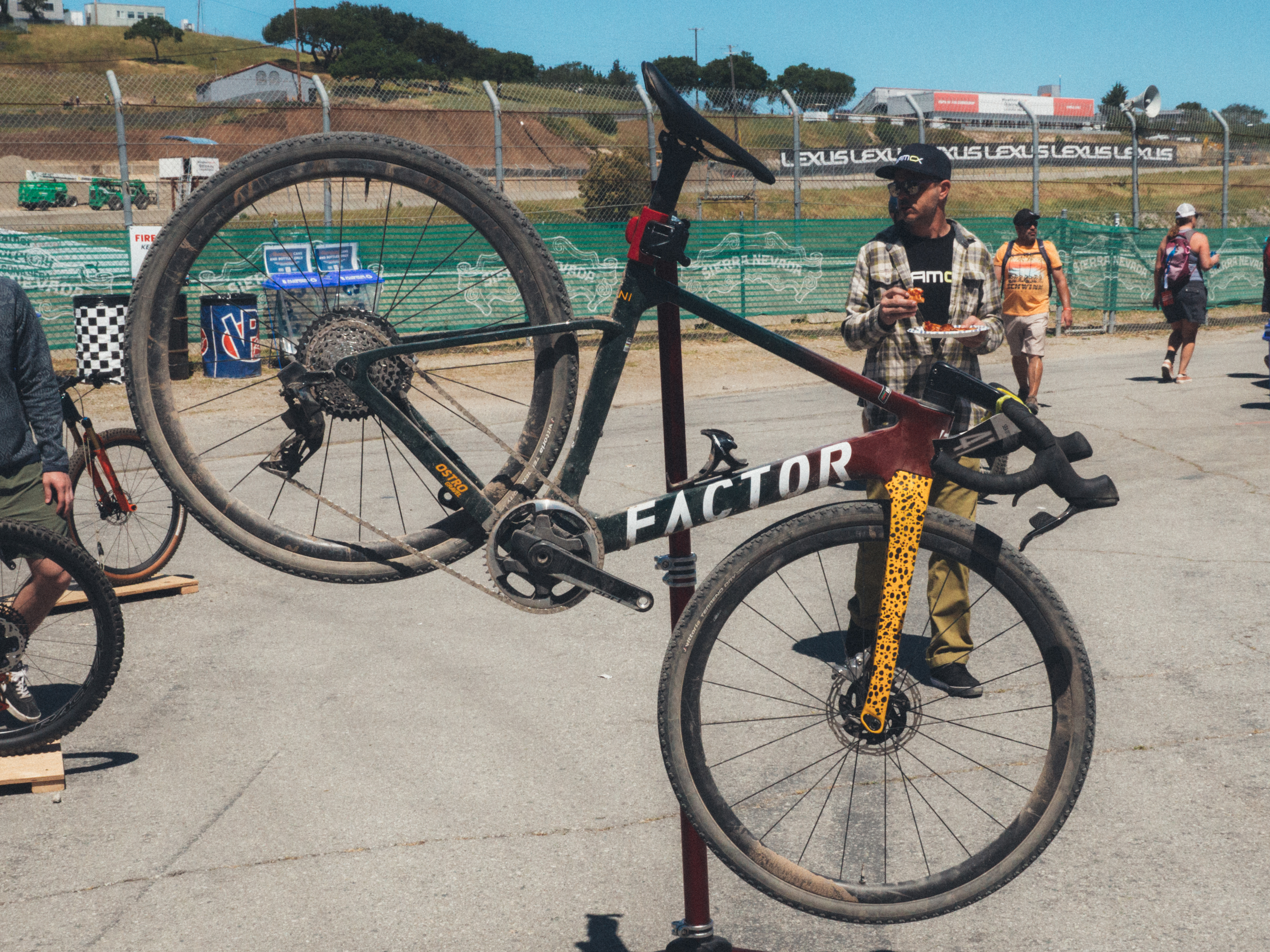 Vélos de loutre de mer