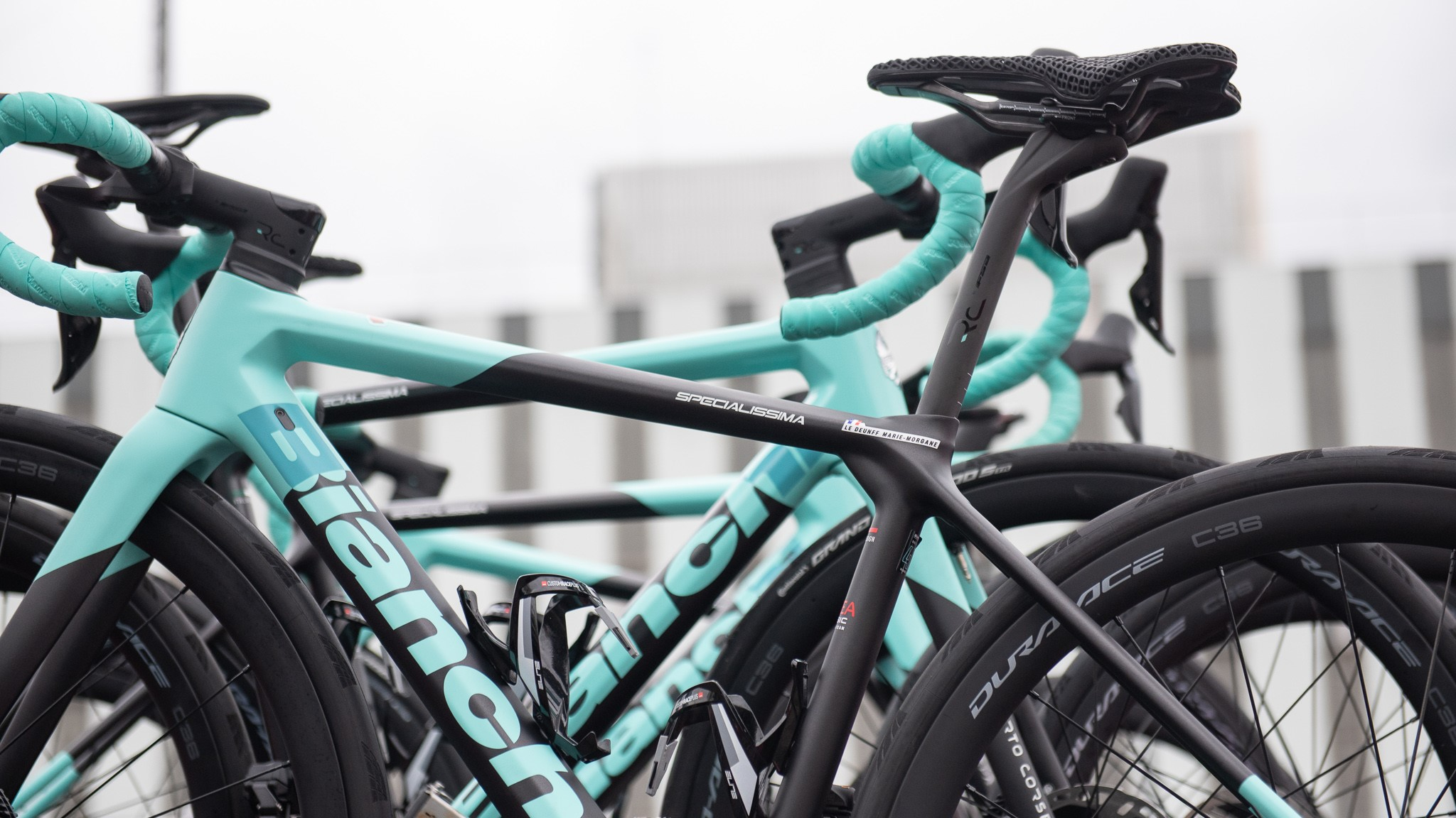 Arkea Bianchi Specialissima
