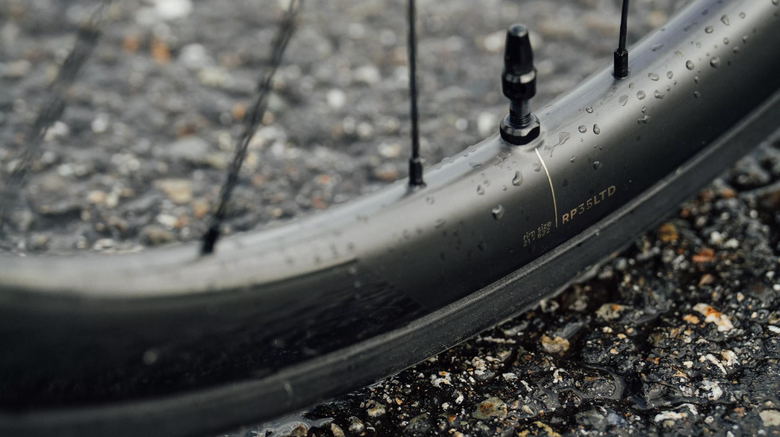 Paire de roues Orbea Oquo RP35-LTD