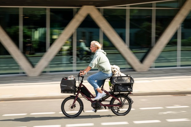 Comment bien choisir sa remorque vélo charge lourde