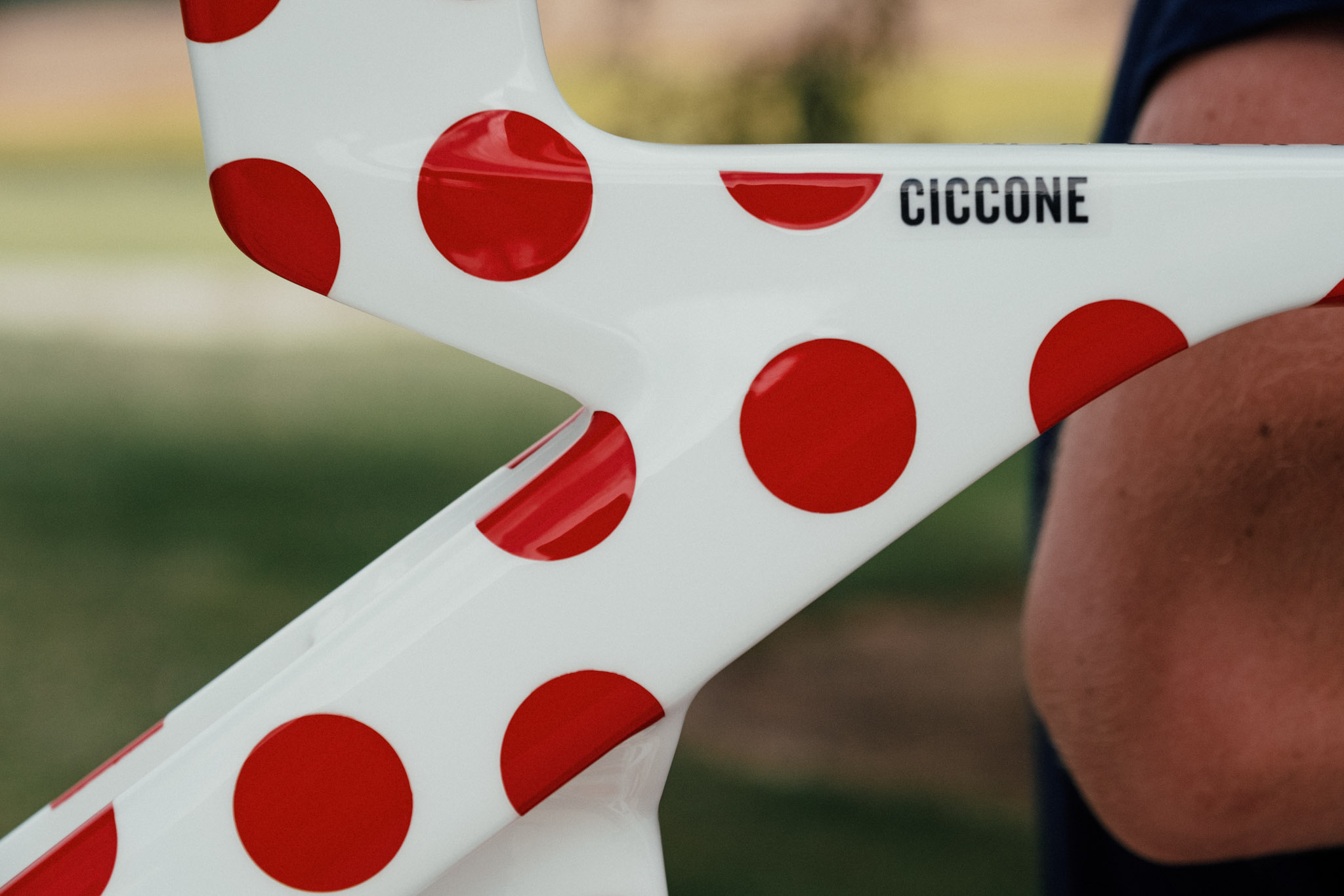 Pois Trek Madone