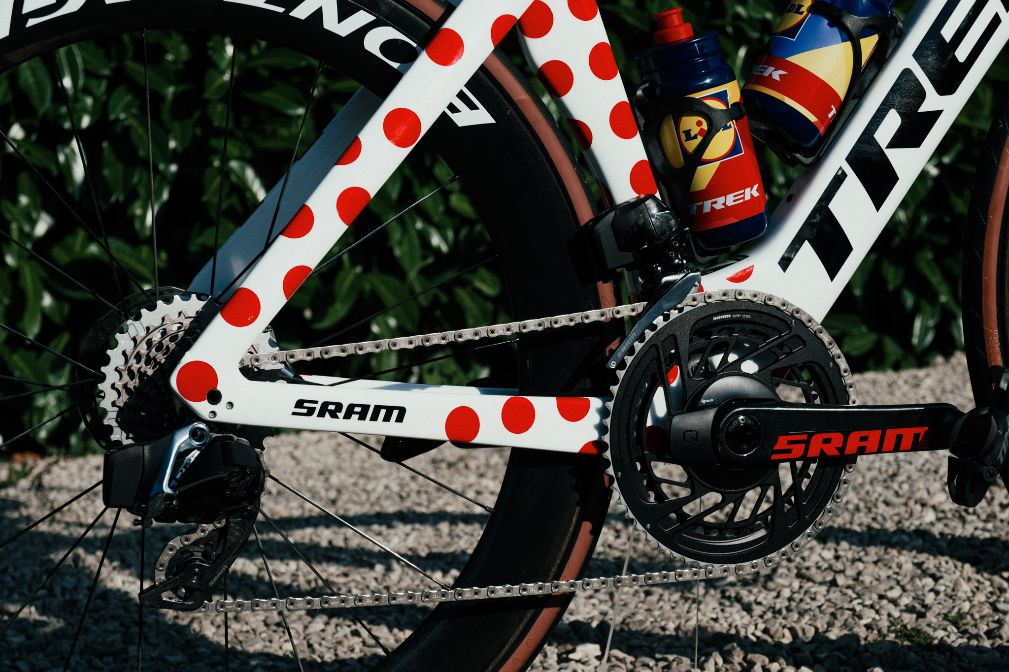 Pois Trek Madone