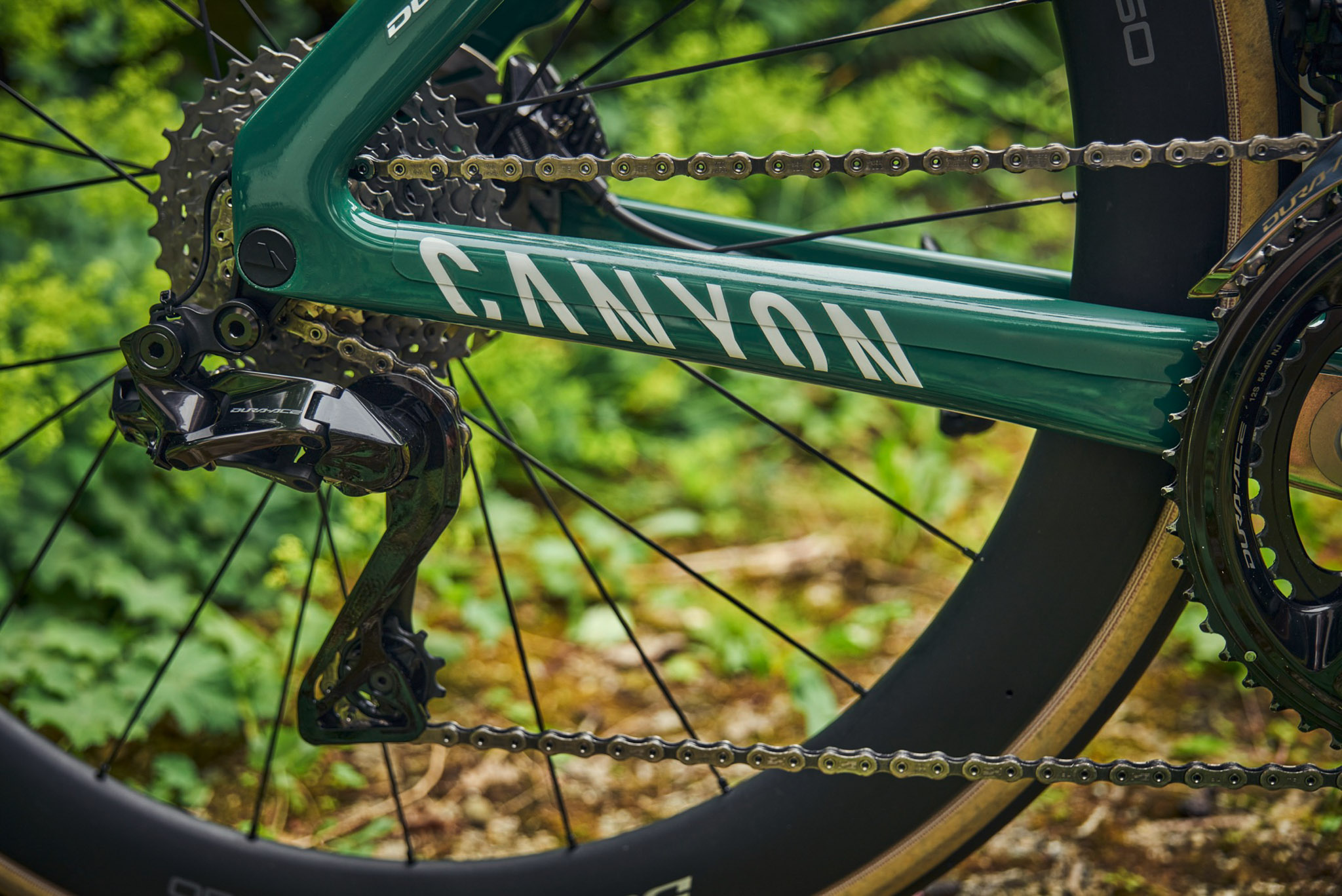 canyon vert