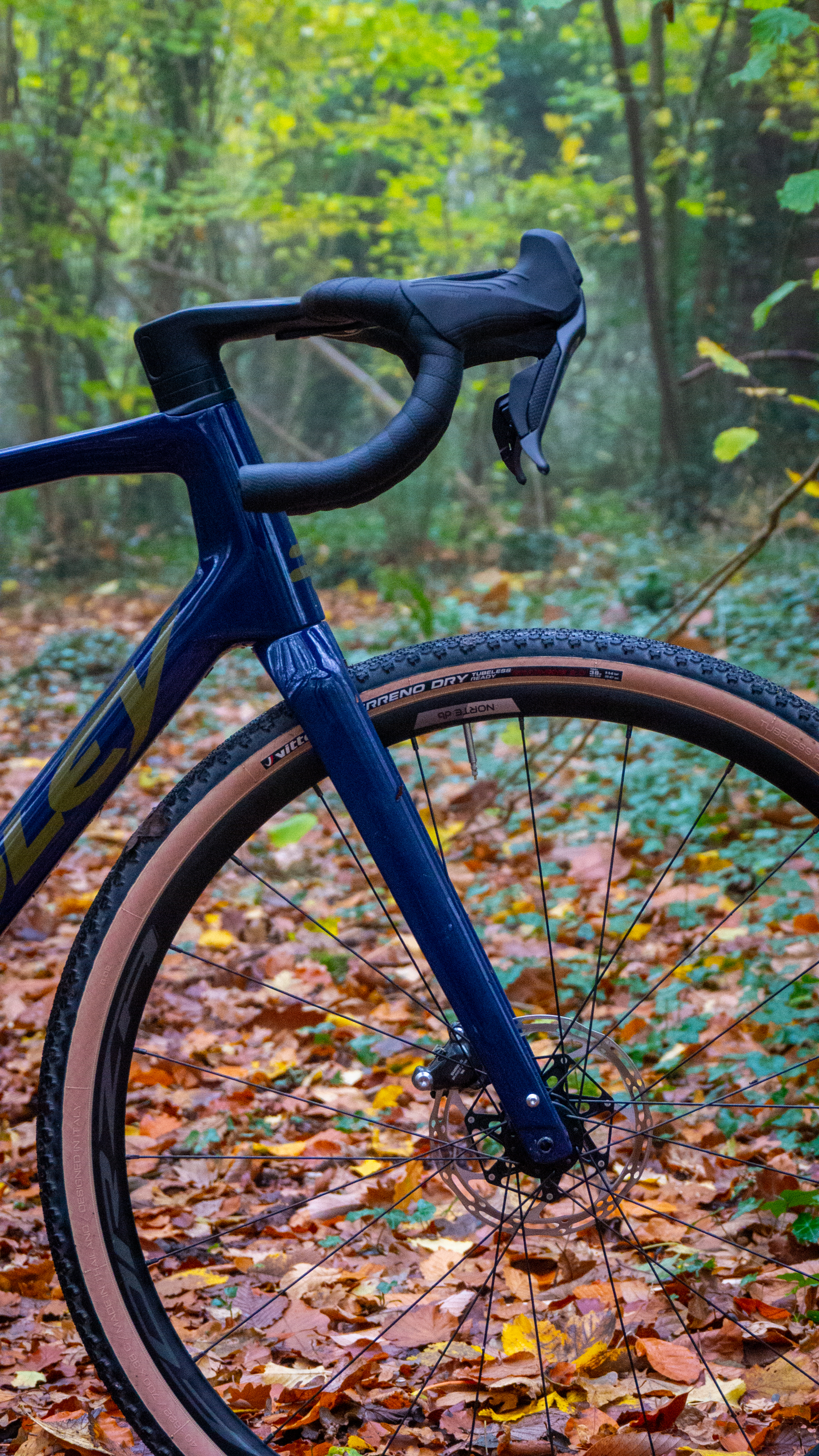 Ridley Grifn se dresse dans un bois feuillu