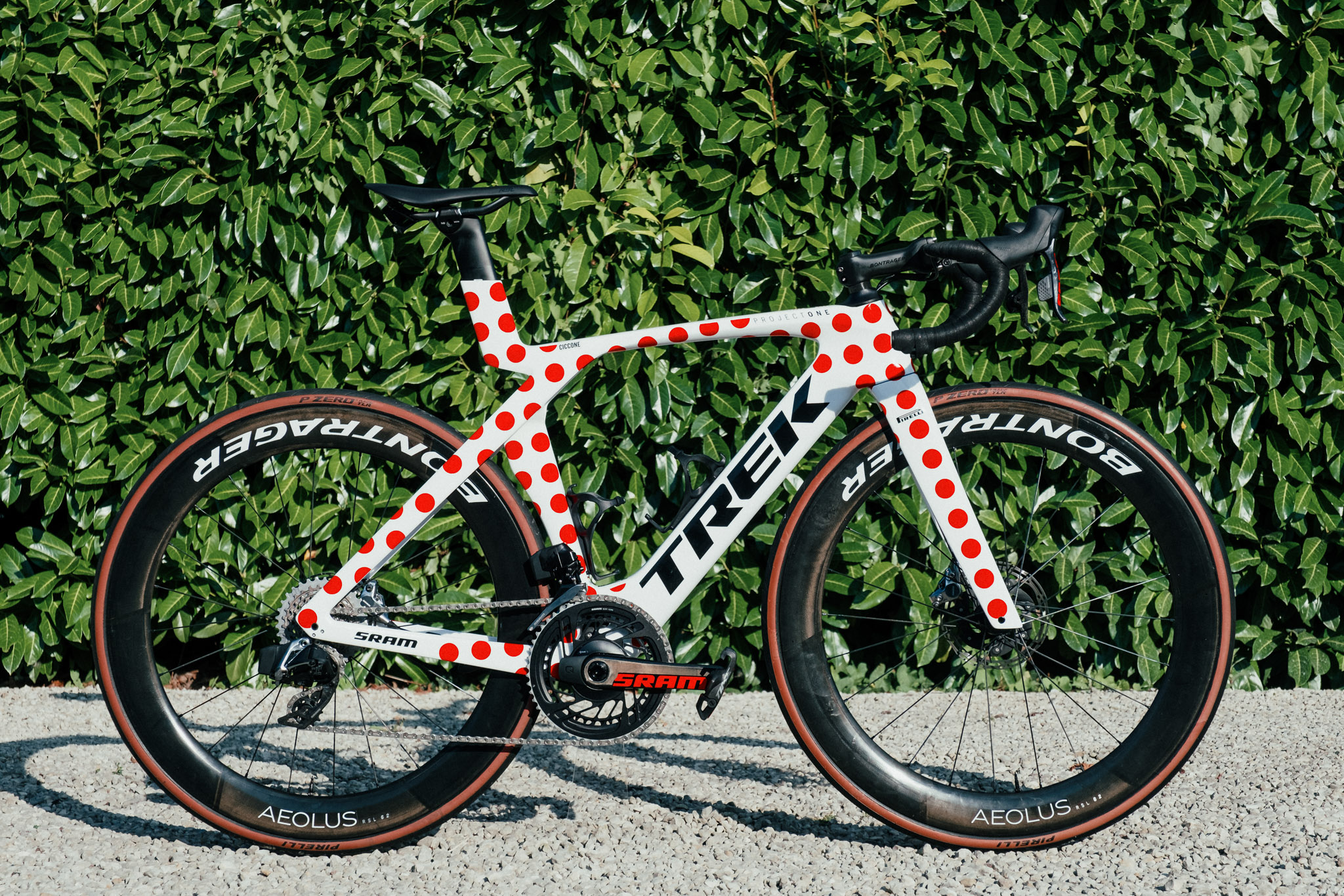 Pois Trek Madone