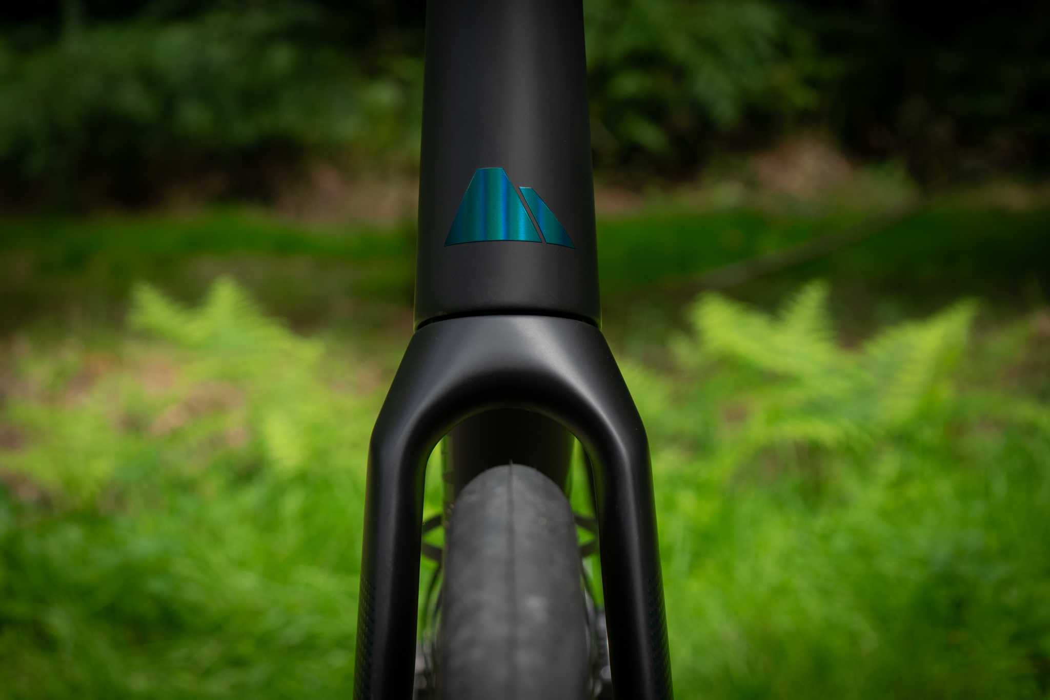 Canyon Endurace CFR