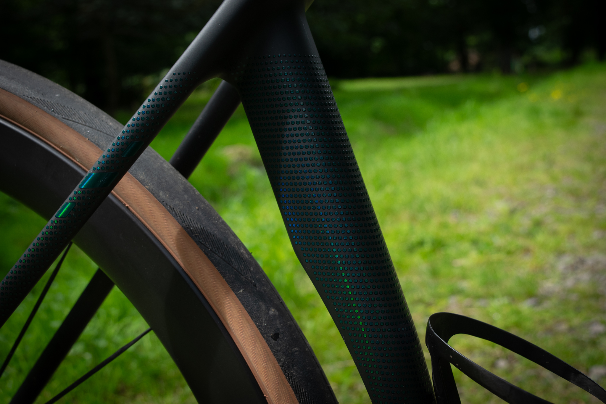 Canyon Endurace CFR