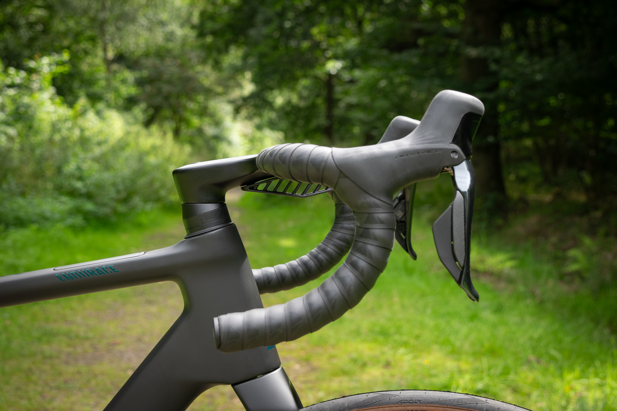 Canyon Endurace CFR