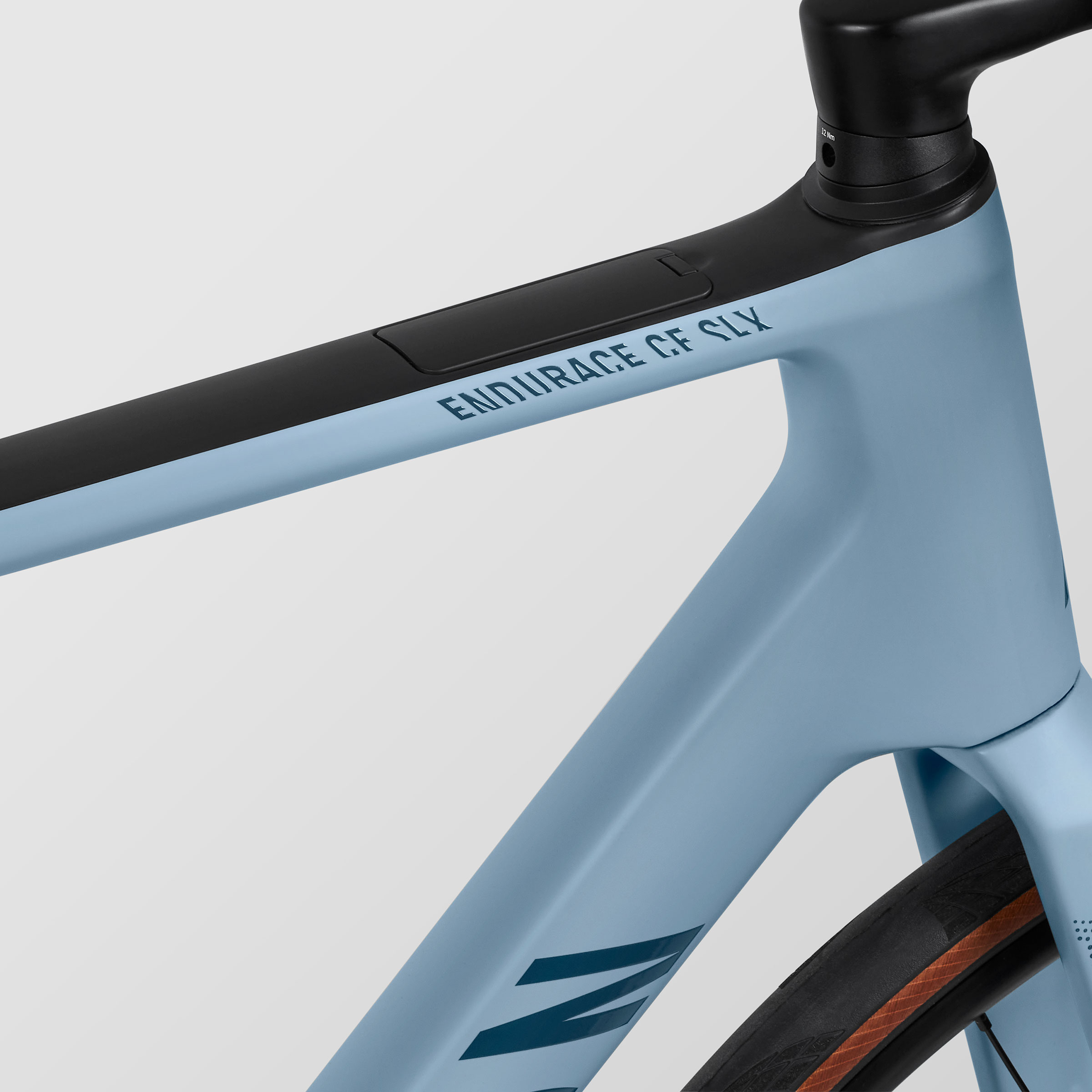 Canyon Endurace CFR