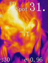 Tête chaude : la caméra infrarouge montre les zones plus chaudes avec des couleurs plus claires, en plus de fournir une lecture numérique pour la zone ciblée