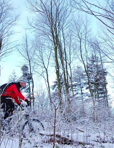 Questions et réponses sur les compétences : comment rouler dans la neige