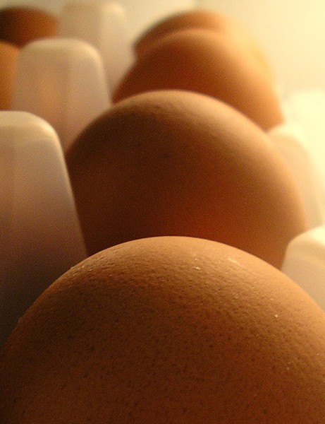 Les œufs sont une bonne source de protéines