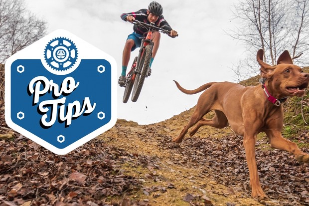 Comment dresser un chien de piste avec Tom et Ruby