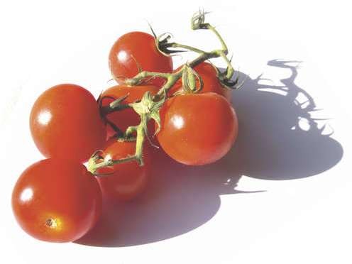 Nutrition – Régime alimentaire et grand « C »