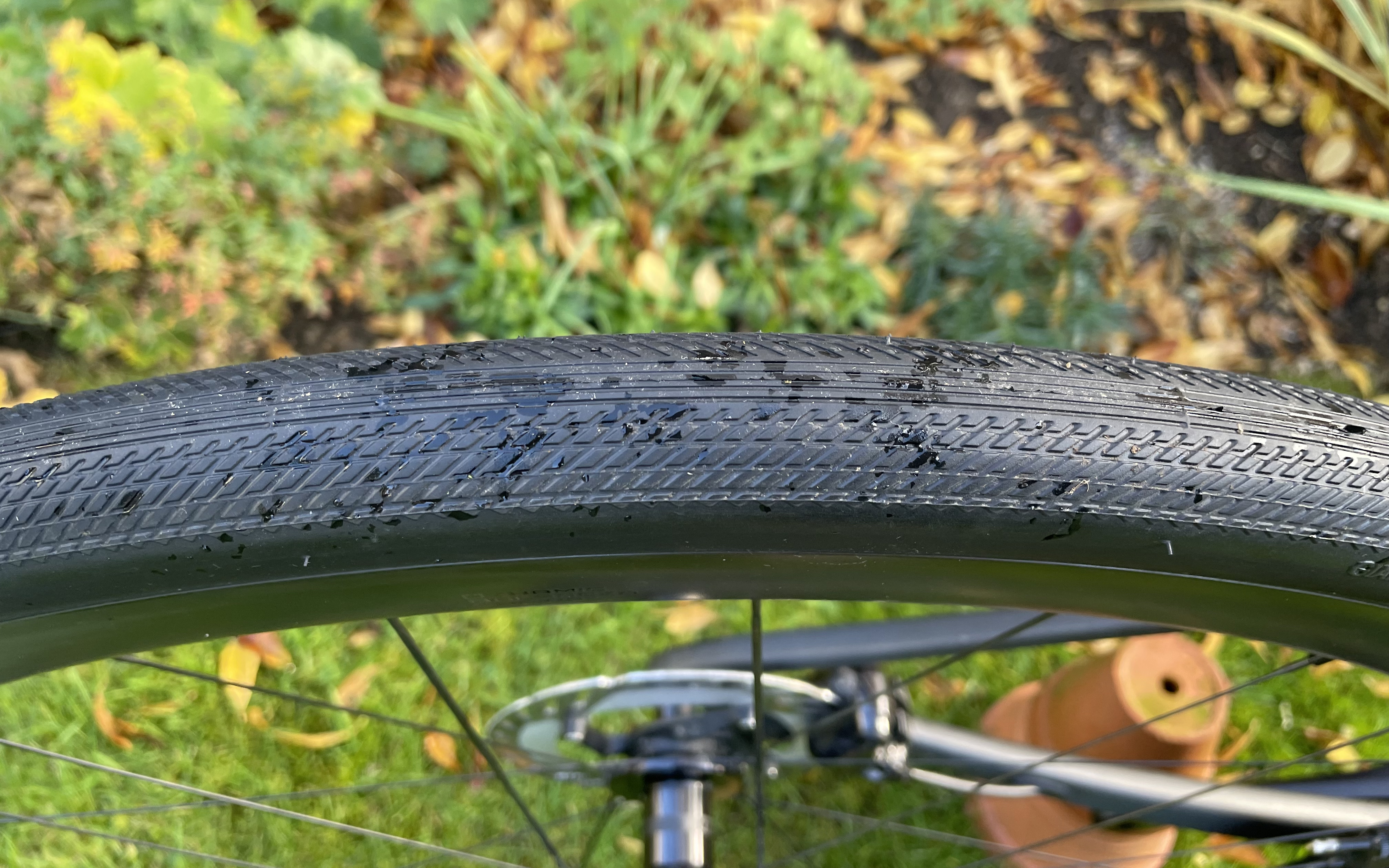 Pneus géants Gavia Fondo 0 tubeless 700x32c, regardez de près la bande de roulement