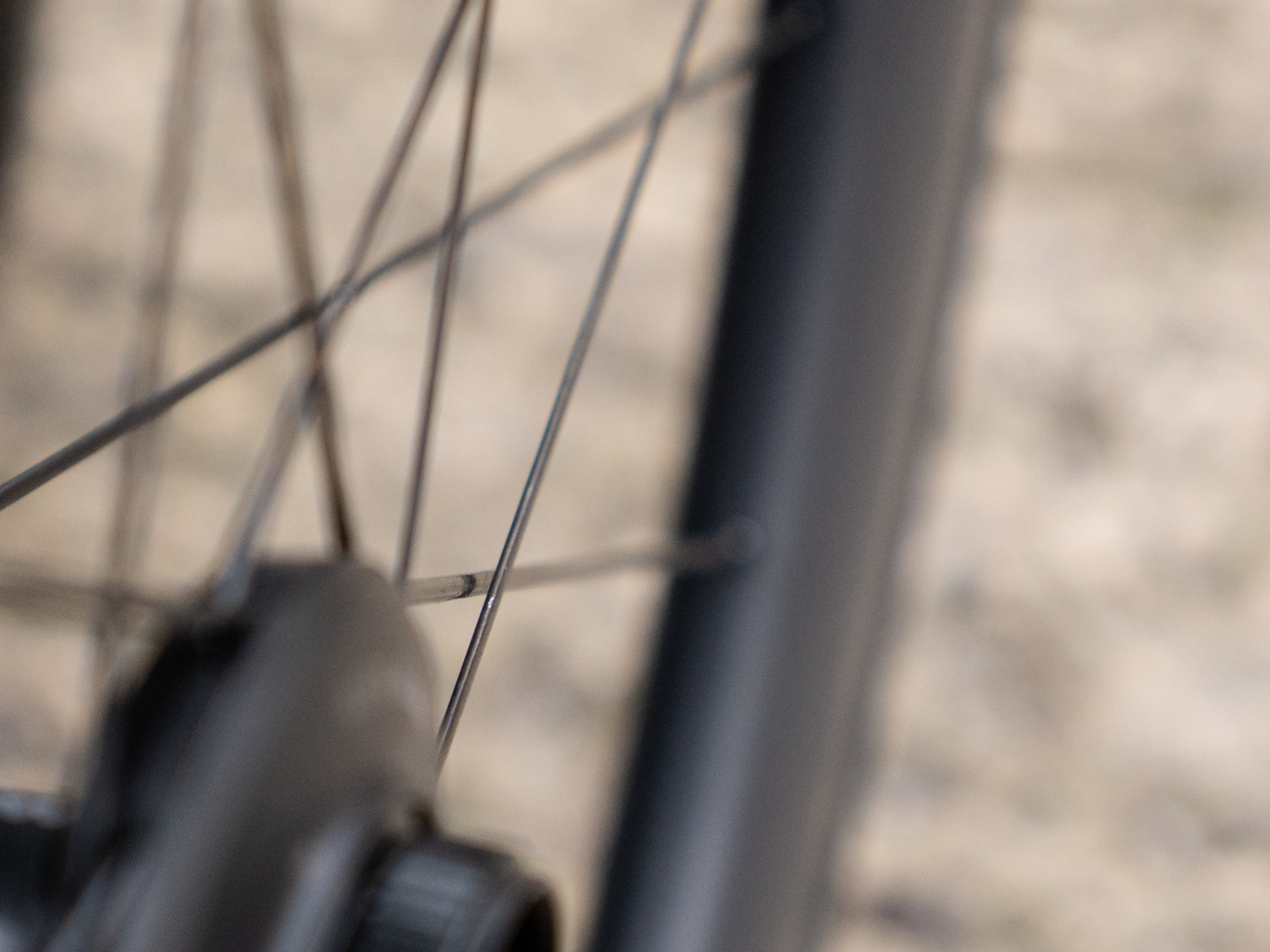 Paire de roues Miche Kleos RD 50