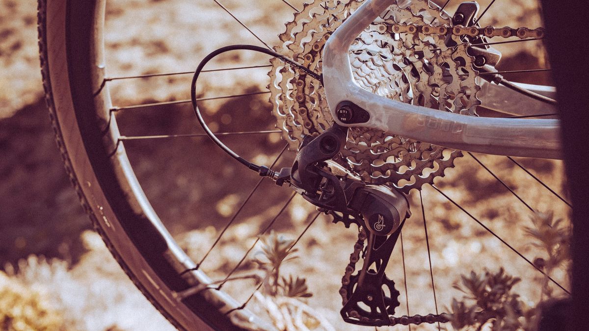 Campagnolo Ekar