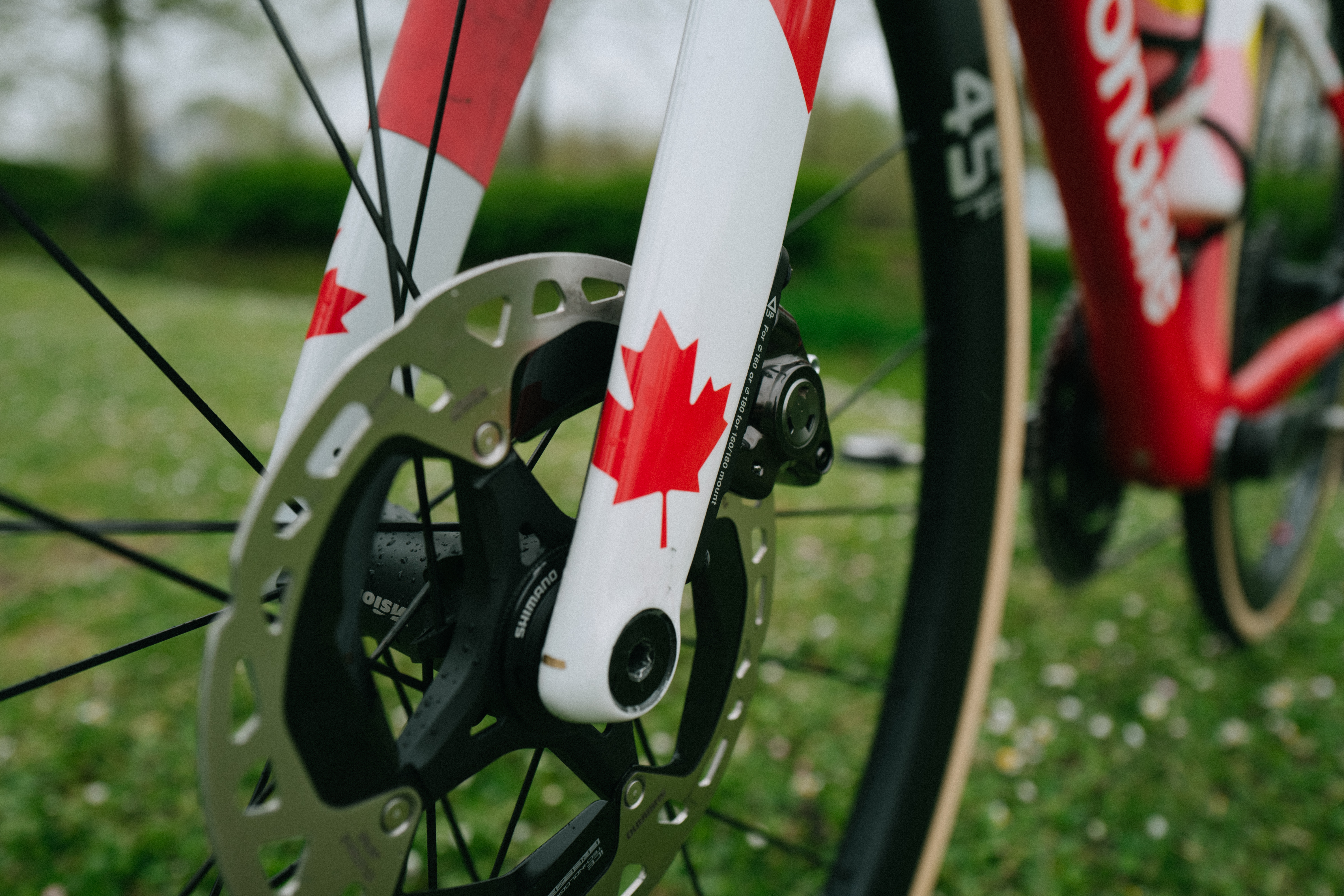 Le vélo Roubaix d'Alison Jackson