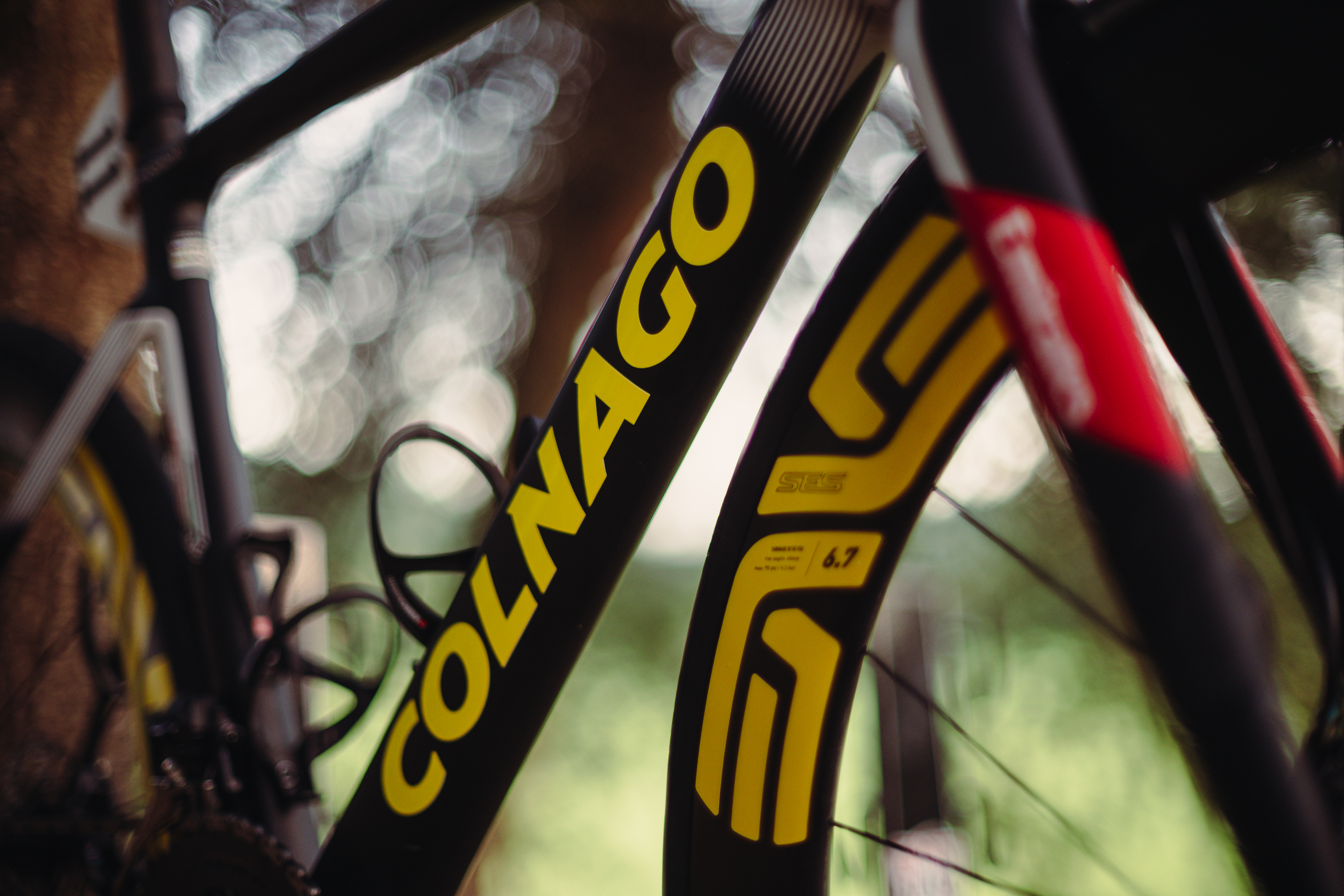 Le Colnago V4RS jaune 2024 de Tadej Pogacar