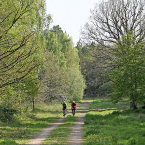 James and Steve Shrubsall take on the Rebellion way in Norfolk