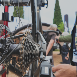 image shows cassette and gear system on a road bike