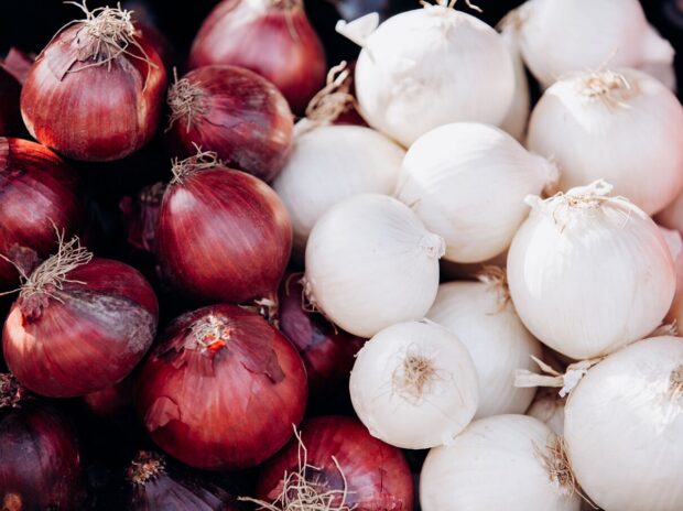 Oignon blanc ou rouge