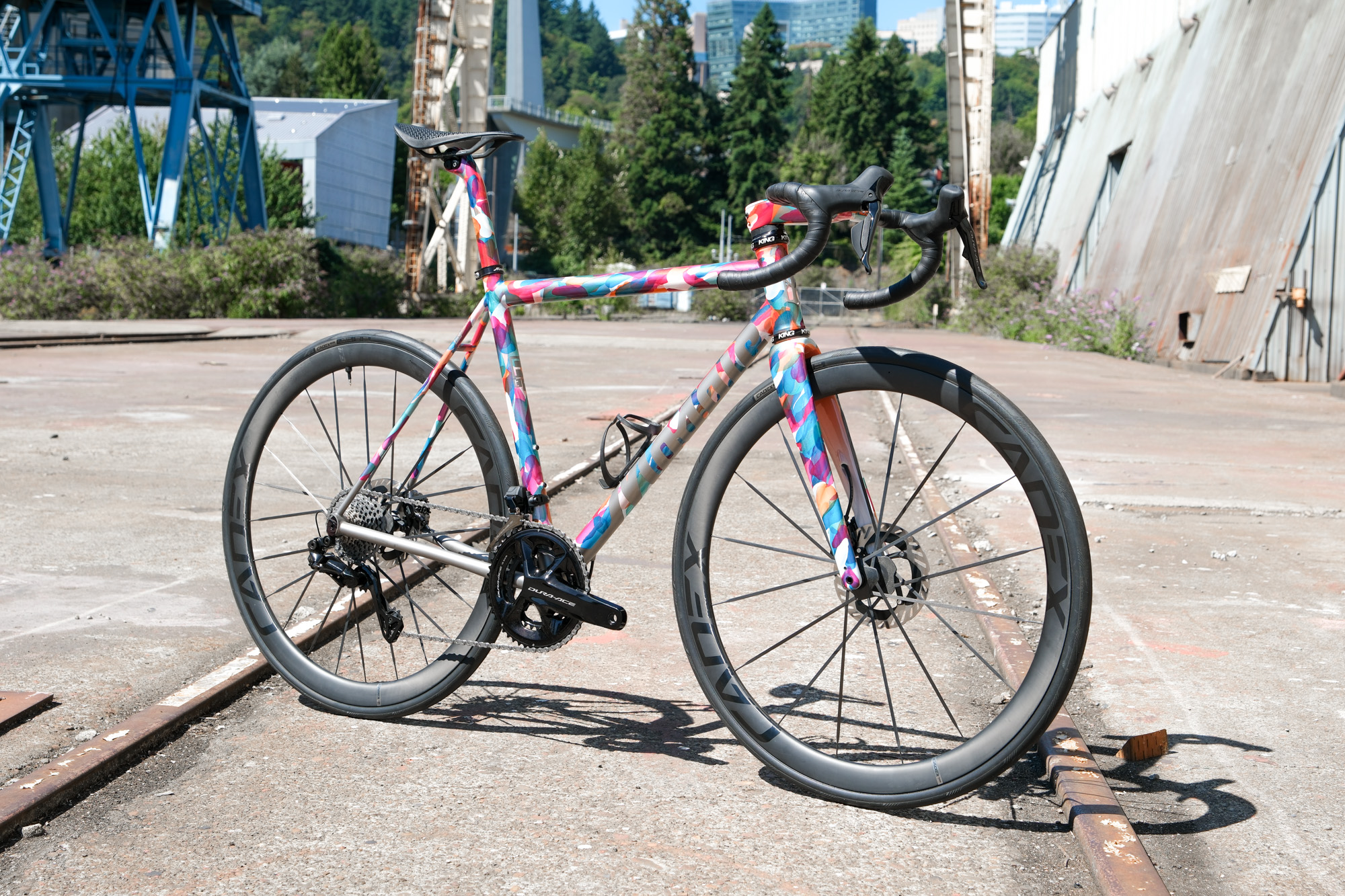 Hot Salad Raw Steel show bike