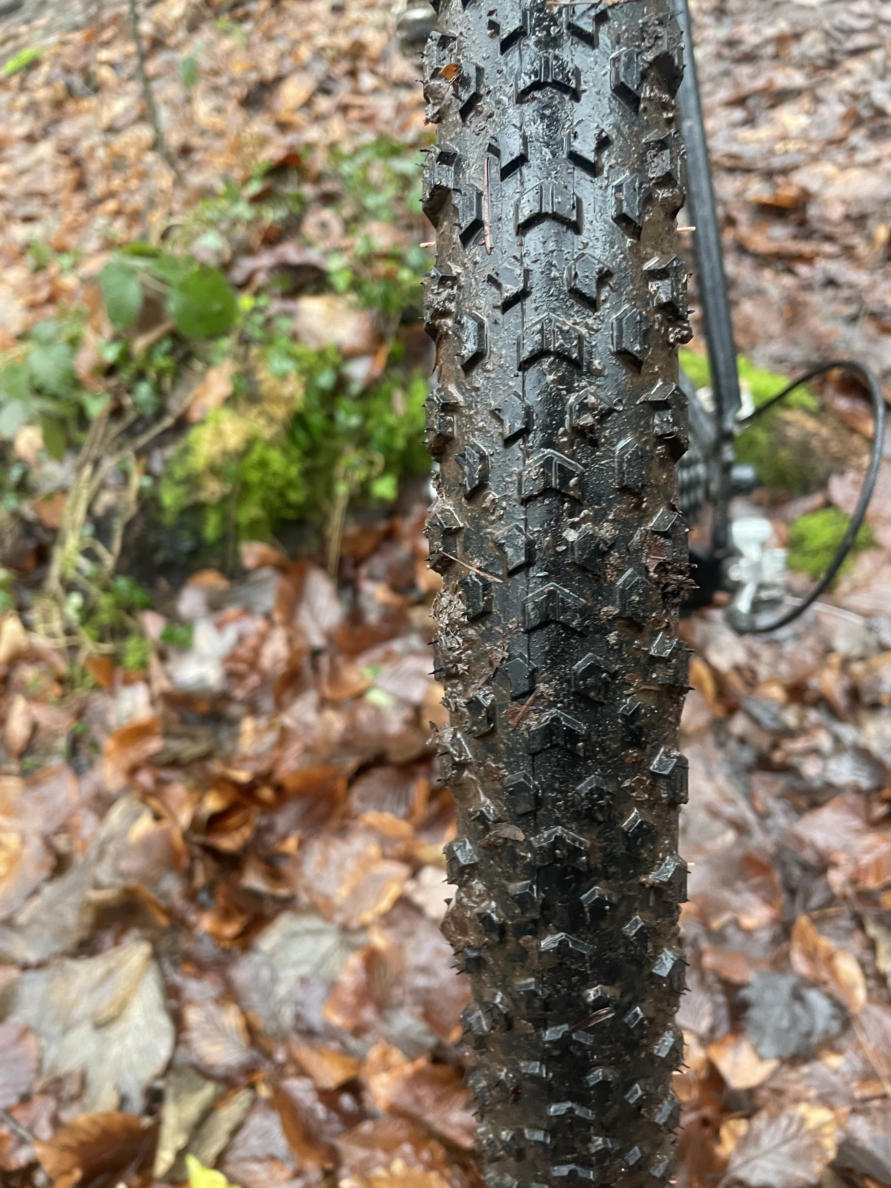 Pneu gravier Pirelli