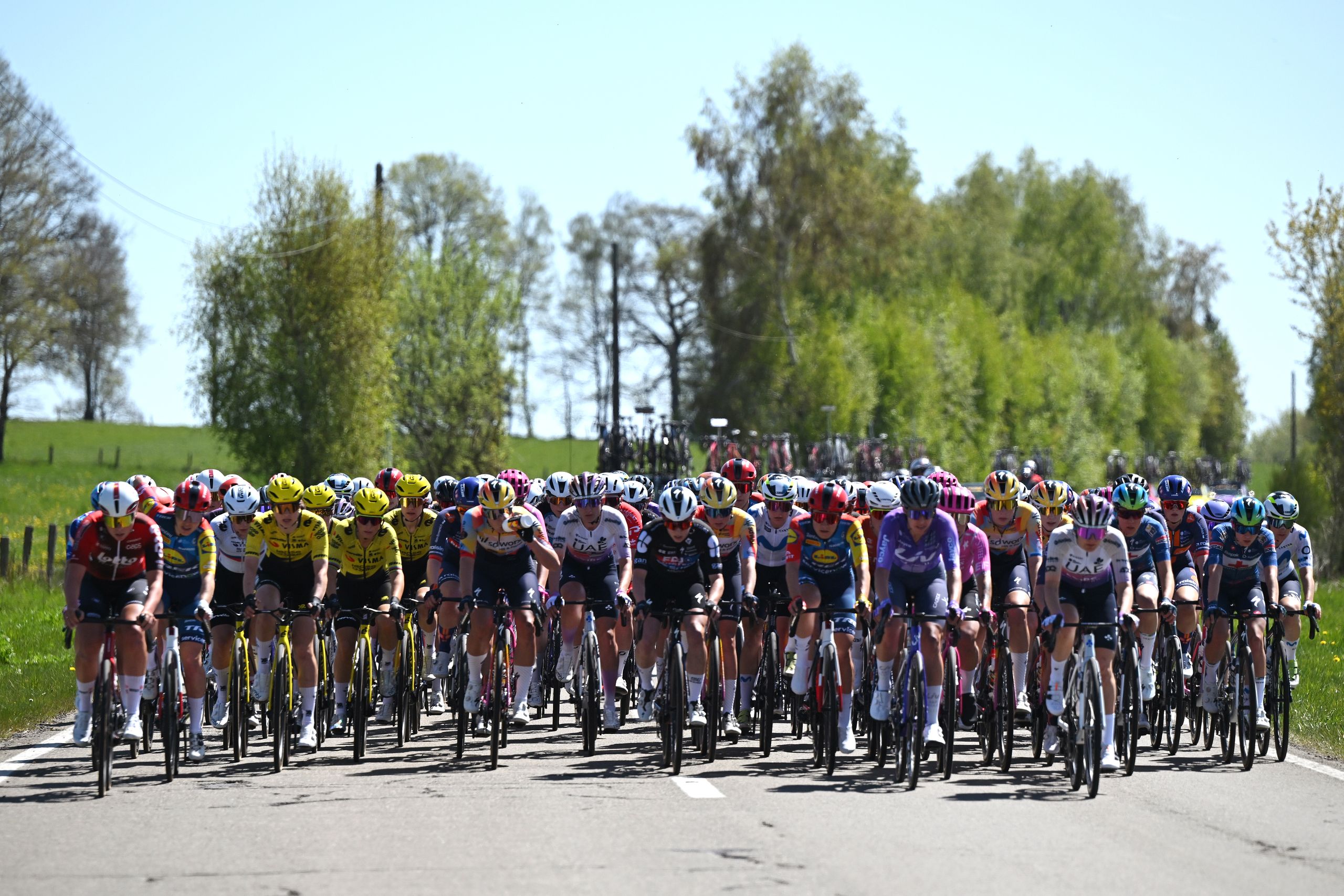 Le cyclisme professionnel est une sorte de non-éducation : vous en apprenez beaucoup sur une activité étrangement spécifique, dont aucune n'est applicable ailleurs.