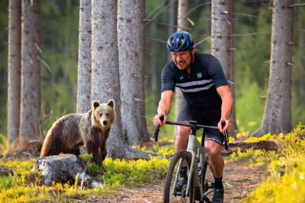 « Il y avait un ours parmi moi. Et si l'on en croit ses selles, c'était un gros problème" : j'ai traversé à vélo la capitale européenne des ours.