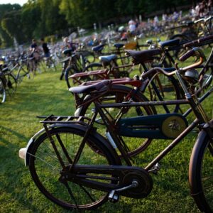 Plus de 400 vélos anciens attendus ce dimanche au parc de la Tête dʼOr à Lyon