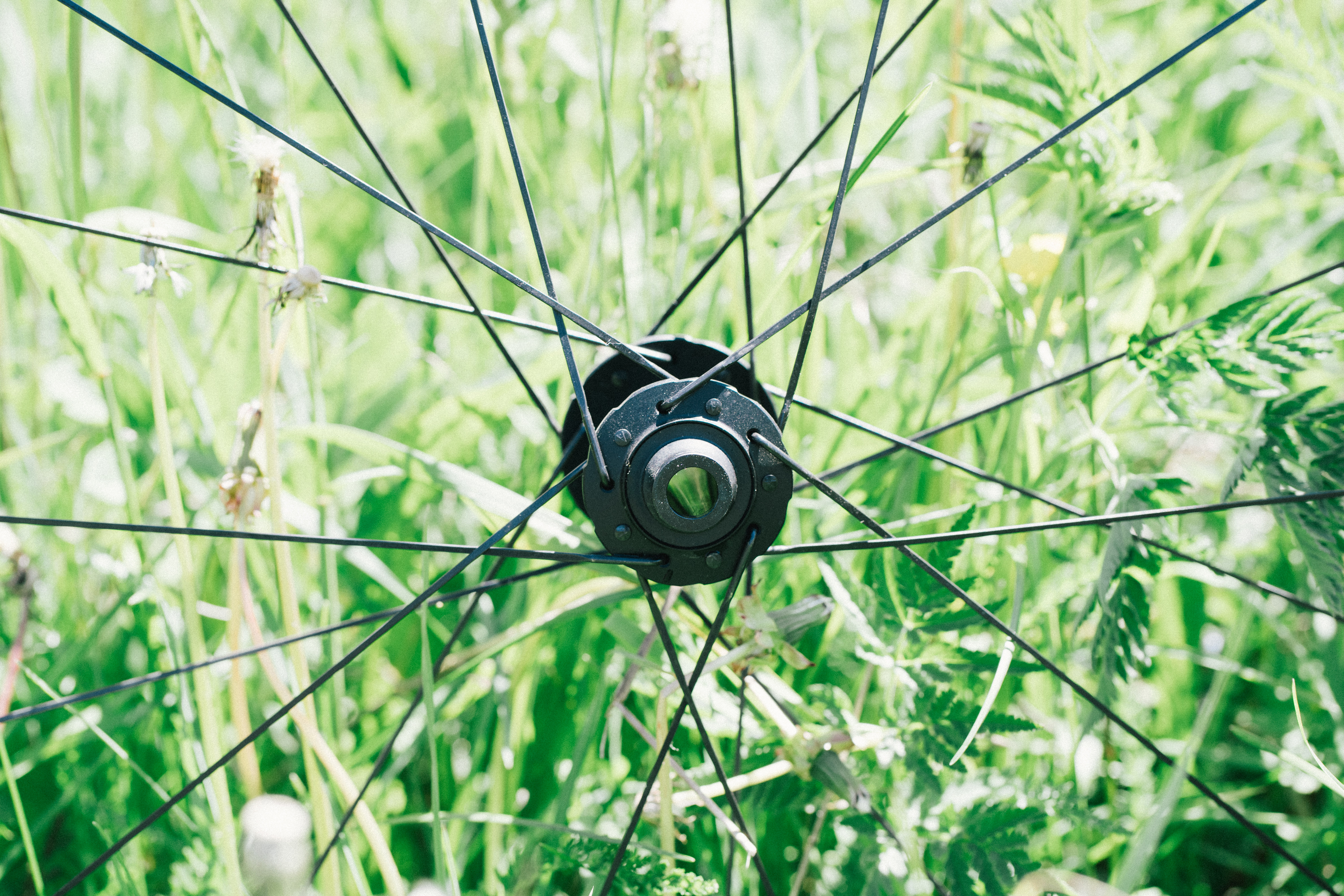Une roue zipp dans un pré alpin