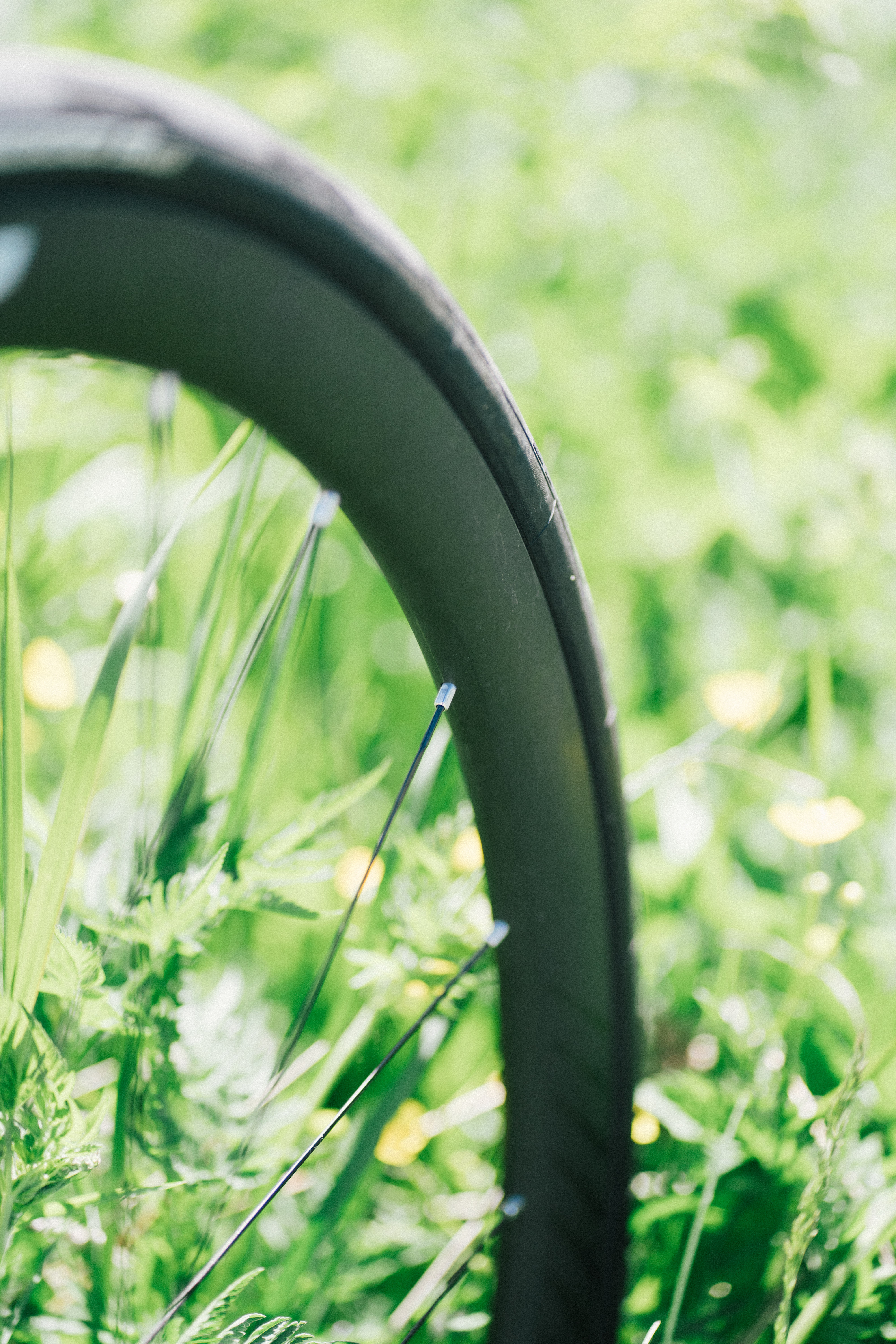Une roue zipp dans un pré alpin