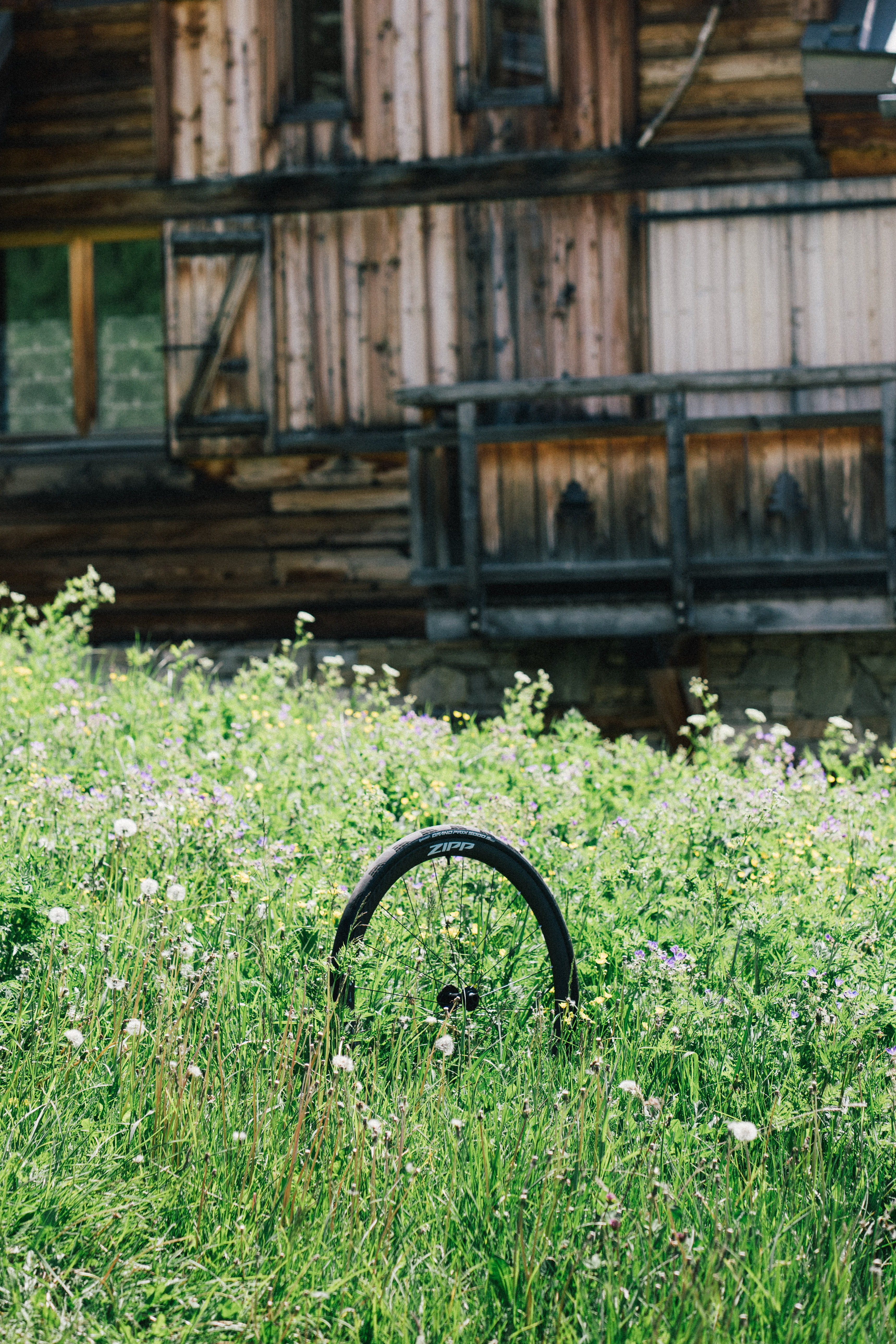 Une roue zipp dans un pré alpin