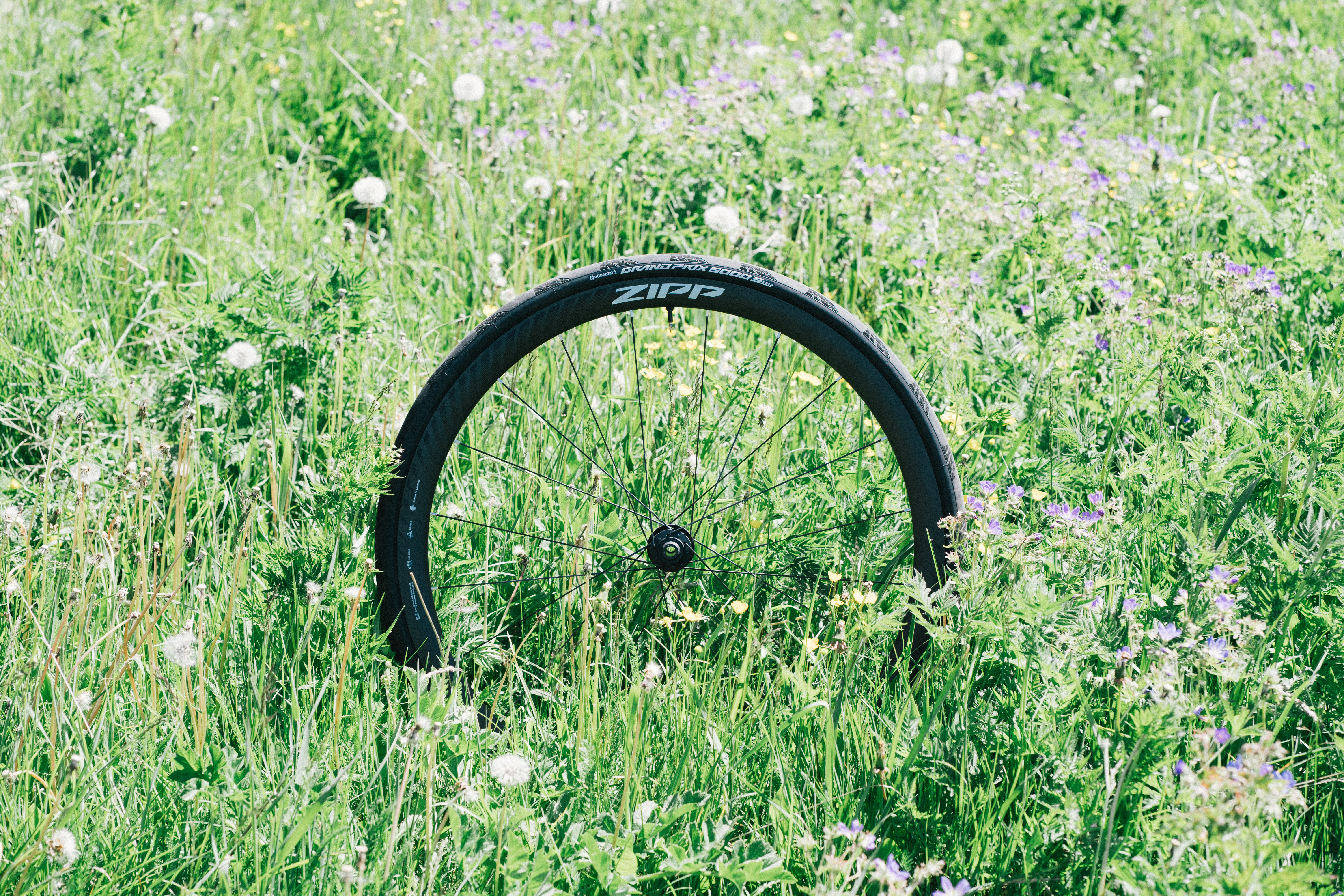 Une roue zipp dans un pré alpin