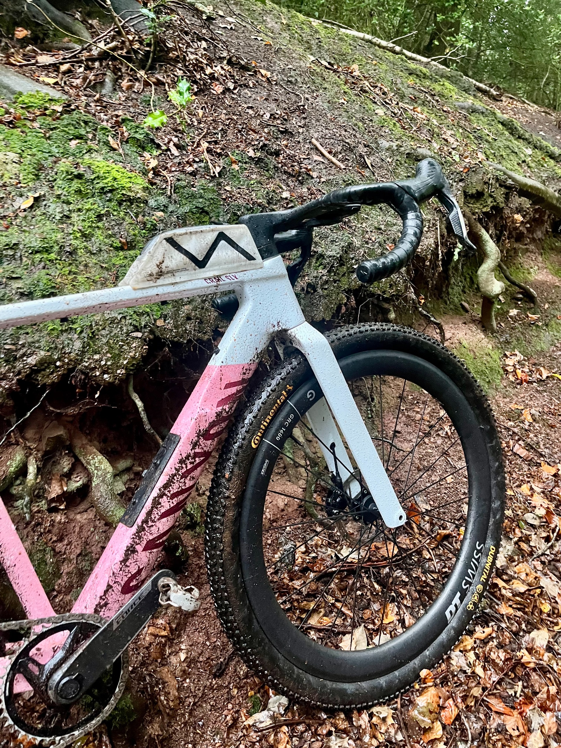Un Canyon Grail CF SLX boueux appuyé contre une berge dans une forêt