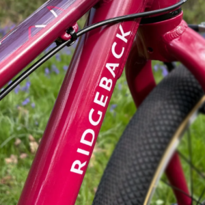 Ridgeback bicycle logo on a pink frame
