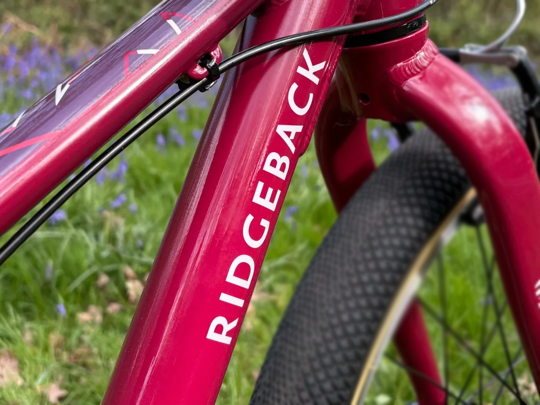Ridgeback bicycle logo on a pink frame
